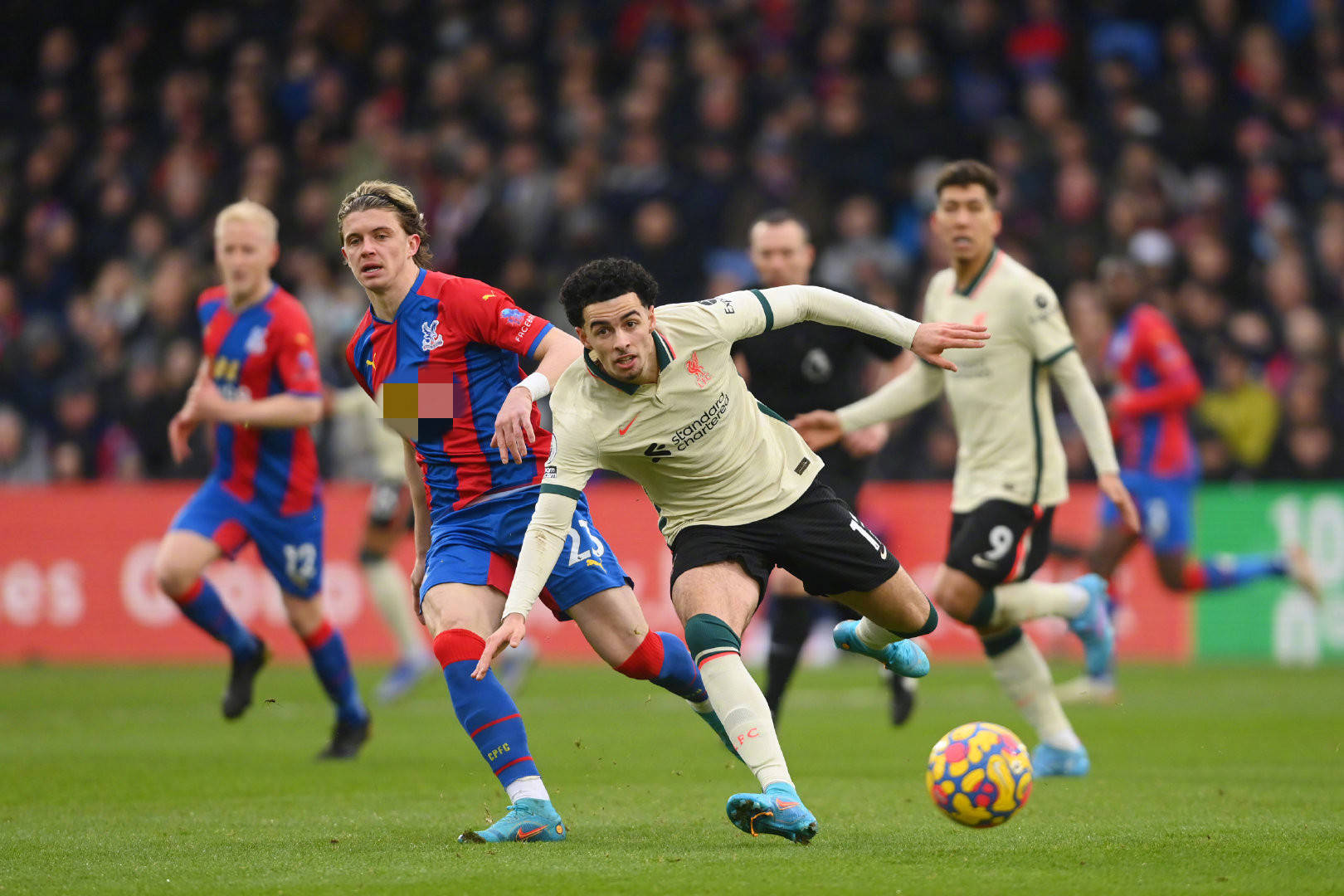 届时回归曼 届时回归曼